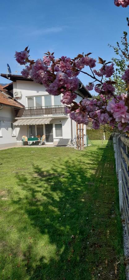 Apartmaji Mojca Križe 外观 照片