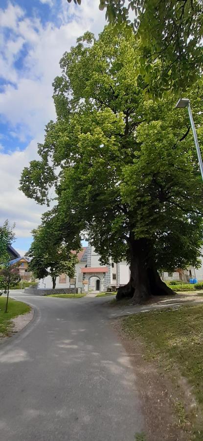 Apartmaji Mojca Križe 外观 照片