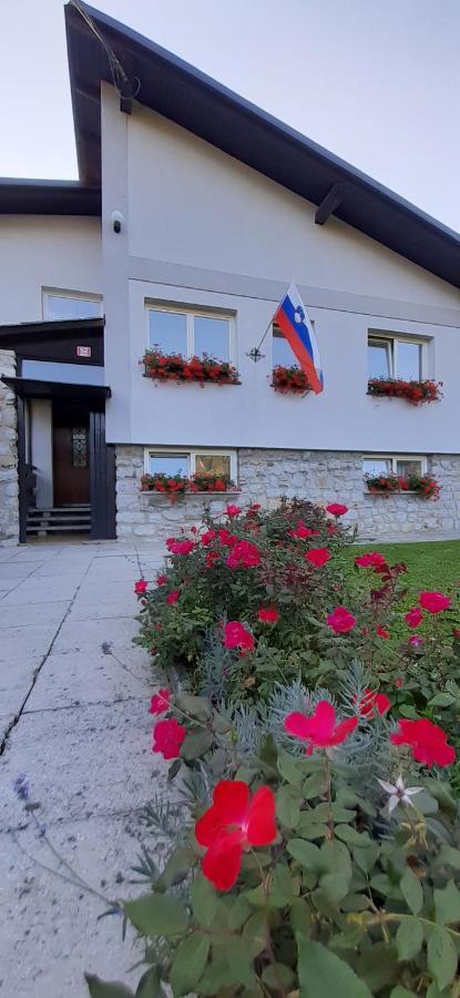 Apartmaji Mojca Križe 外观 照片