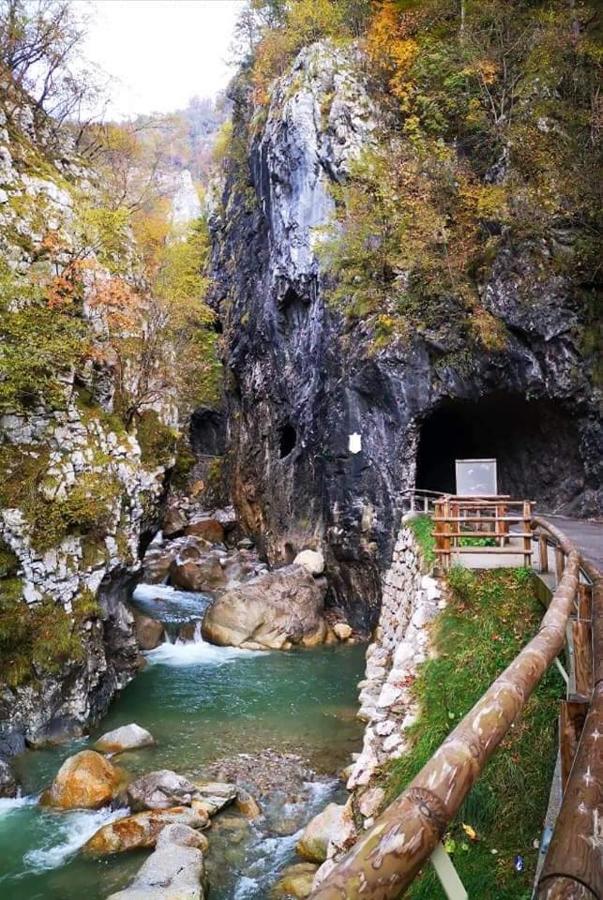 Apartmaji Mojca Križe 外观 照片