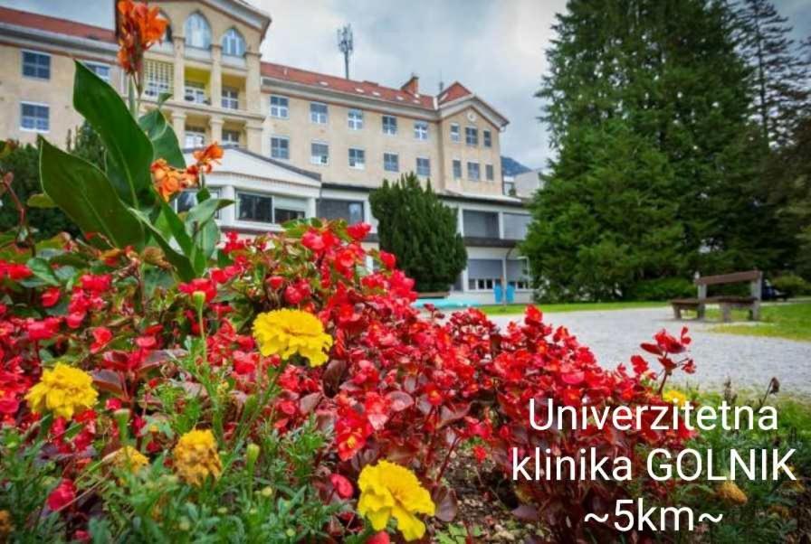 Apartmaji Mojca Križe 外观 照片